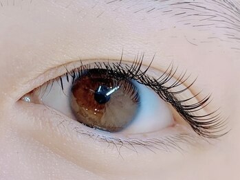 ダズル(DAZZLE)/フラットラッシュ100本