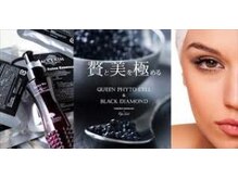 サロン デ モンターニユ(SALON DES montagnes)/