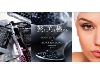 サロン デ モンターニユ(SALON DES montagnes)/