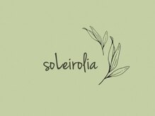 ソレイロリア(soLeirolia)