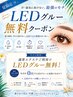 【6月限定】持続力1.5倍LEDグルーお試し無料期間¥1200→¥0