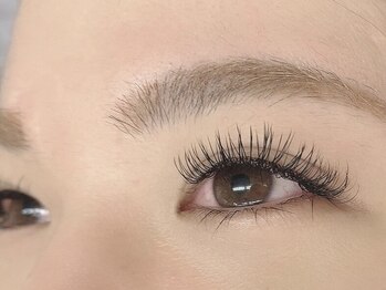 ソファー 国分寺(sofa)/フラットラッシュ140本