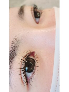 コア(Koa)/パリジェンヌリフト上下