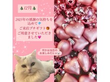 12月ご来店特典♪