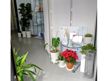 アイビーコスメティクス ディーコム(IVY.cosmetics Dcom)の写真