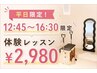 【平日12:45～16:30限定】体験レッスン70分￥2980