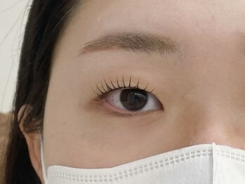アイラッシュラボ イエロー(eyelash lab yellow)/