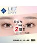【ご新規様LED変更無料】セーブルorフラット140本 6100円 (新規オフ無料)
