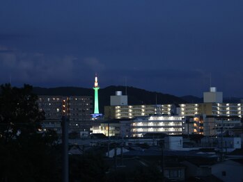 ナイチンゲール(Nightingale)/