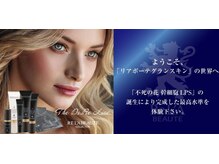 サロン デ モンターニユ(SALON DES montagnes)/