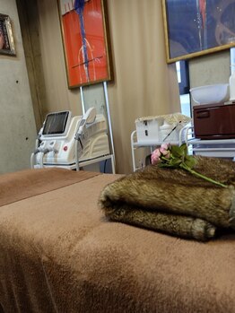 全身脱毛コースのあるサロン