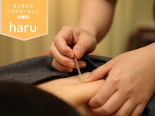 ハル(haru)