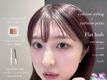 アイラッシュサロン ブラン 和歌山ミオ店(Eyelash Salon Blanc)/美眉スタイリング