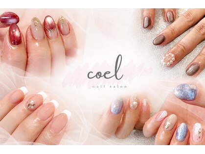 コエル(coel)の写真