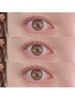 アイ ランド(eye LAND)/パリジェンヌラッシュリフト上下