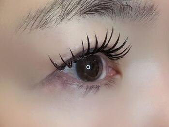 フリー#240(Free#240)/バインドロック300本