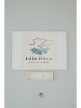 リトルフラワー 川口店(Little Flower)/完全個室のプライベート空間