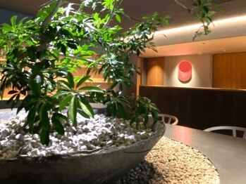 整体院LUNAの写真/【婦人科医提携/都度払いOK】更年期/首・肩コリ/むくみ・冷え/マタニティ産後のお悩みは当店におまかせ◎