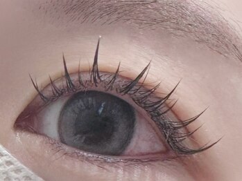 エミーアイラッシュ 大通店(Emii Eyelash)/フラットラッシュ120本/Ｄカール