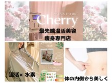 ヨサパーク チェリー 杉田店(YOSA PARK Cherry)