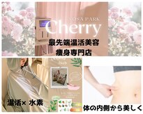 ヨサパーク チェリー 杉田店(YOSA PARK Cherry)