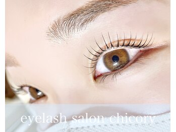 チコリ(chicory)/まつ毛パーマ（lash lift）