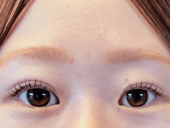 ポポのエステ(popoのエステ)/【まつげパーマ】