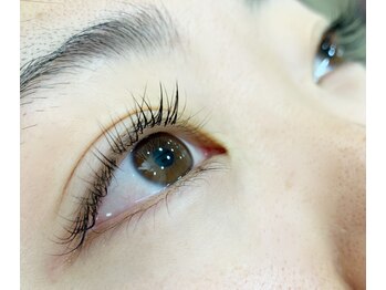 シルフ 石橋店(Sylph)/シングルラッシュ100本