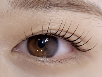 ダズル(DAZZLE)/パリジェンヌ