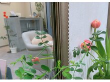 ビジ(biji)/気持ちのいい空気感