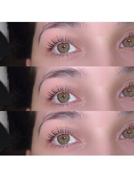 トリコ 調布(TRICO)/韓国ロッド