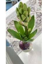 マシュマロハンド/よもぎ蒸し/冷え/むくみ改善