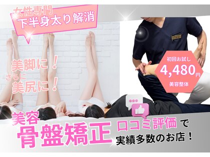ハクト(HacT)の写真
