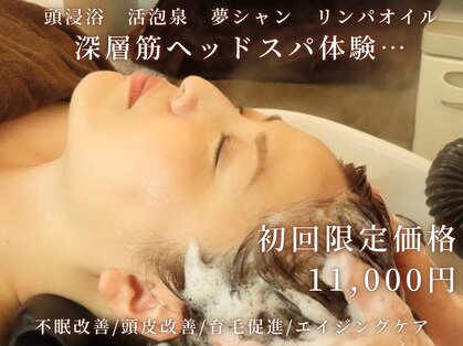 カンナ(CANNA)の写真