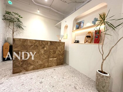 アンディ(ANDY)の写真