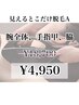 【レディース】両脇＋両腕（手の甲・指まで）¥18,700→¥4,950