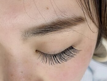 ソファー 国分寺(sofa)/フラットラッシュ140本