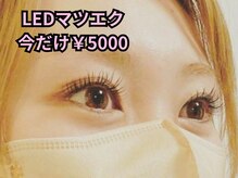 エーケー(AK)