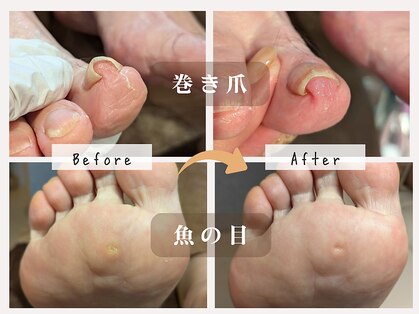 菊桃(kikumomo)の写真