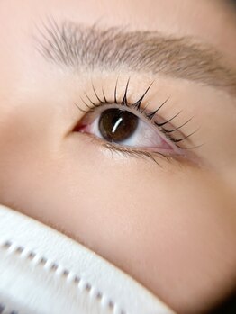 ザ ヴォーグ(the VOGUE)/パリジェンヌラッシュリフト