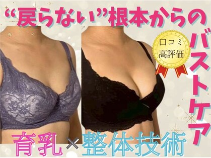 シャンス アルファ(chance)の写真