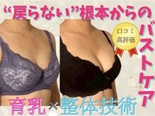 シャンス アルファ(chance)