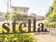 ステラ(stella.)の写真