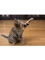 まつげエクステサロン マンハッタン 福井武生店(MANHATTAN)&nbsp;愛猫と戯れるのが好きです＾＾