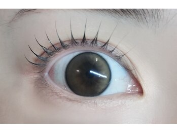 ニル 下赤塚(NIL)/立ち上げデザイン