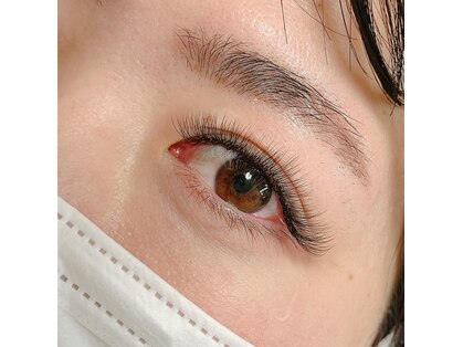 ココア(COCOA)の写真