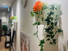 ピアリーシズオカ(pe a ly SHIZUOKA)/店内の飾り