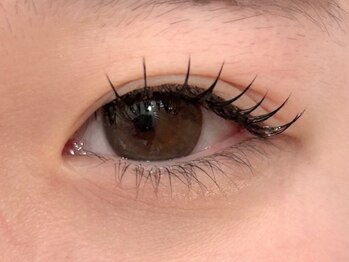 ネオリーブ ウリ(Neolive uri)/フラットラッシュ120本