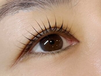 サーリアイラッシュ(Saari eyelash)の写真/少ない負担でパッチリ目元を演出♪目の形やまつ毛の状態を見極め、あなたに似合うデザインをご提案します◎