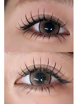 ルチア 高田馬場/フラットラッシュ120本　下20本